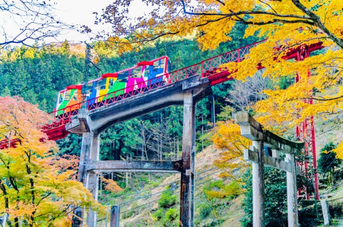 御嶽山のケーブルカー沿いの紅葉