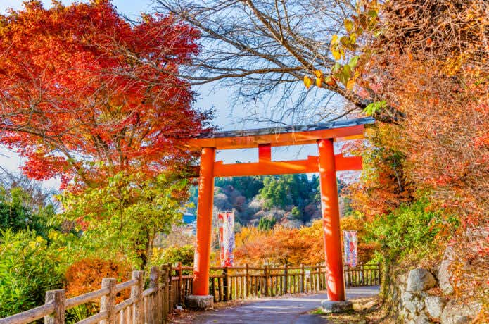 御嶽神社へと続く参道沿いの紅葉