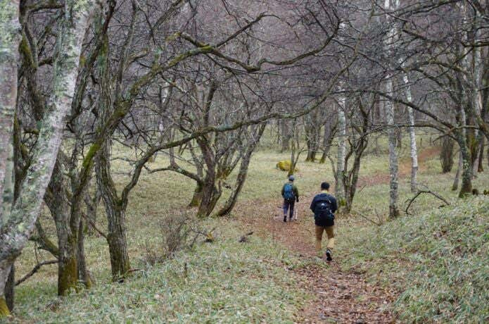 秋　冬　低山　登山　ハイキング