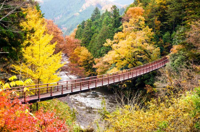 秋川渓谷にかかる石舟橋