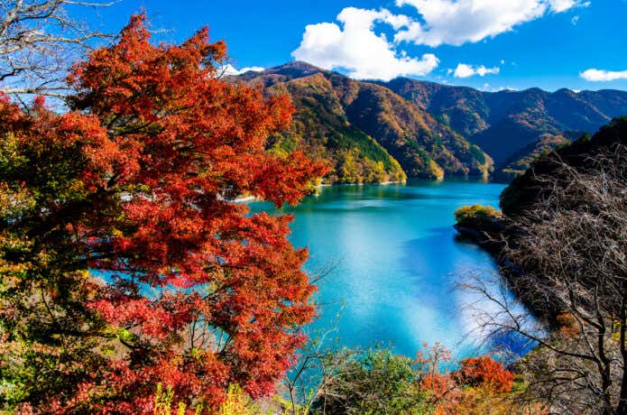 八方岩展望台からながめる奥多摩湖