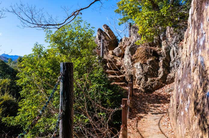 変化に富んだ登山道