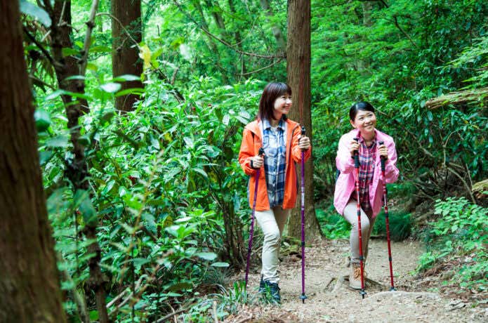 ビギナーの仲間も誘いやすい