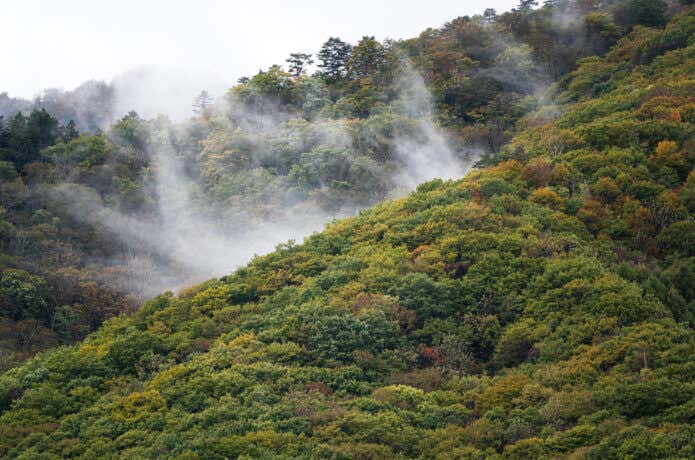 登山 山 雨 日本 気候