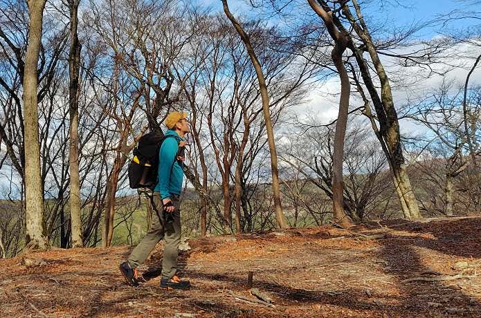 エレファット　Elephat