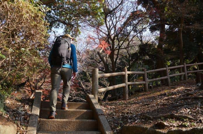 エレファット　モマド