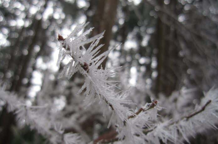 冬山は低山でも氷点下になる