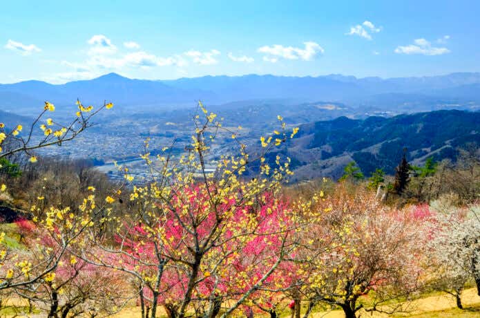 花と山と町並み