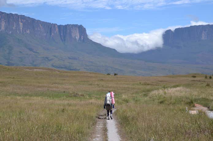 テーブルマウンテンに向けて草原をトレッキングをする人の後ろ姿