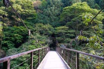 （鳩ノ巣小橋）