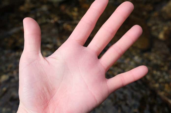 塗れたグローブを外した、乾いた状態の手