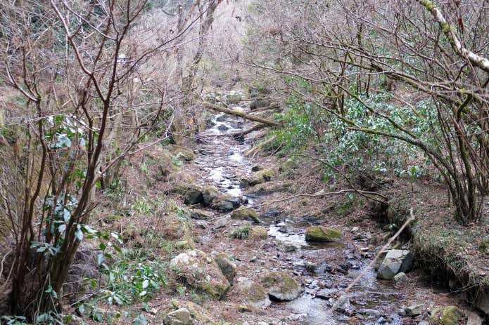 登山道付近の沢