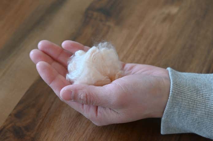 ブレスサーモ原綿を手にとる