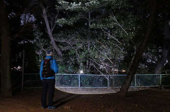 ダイソー　LEDライト