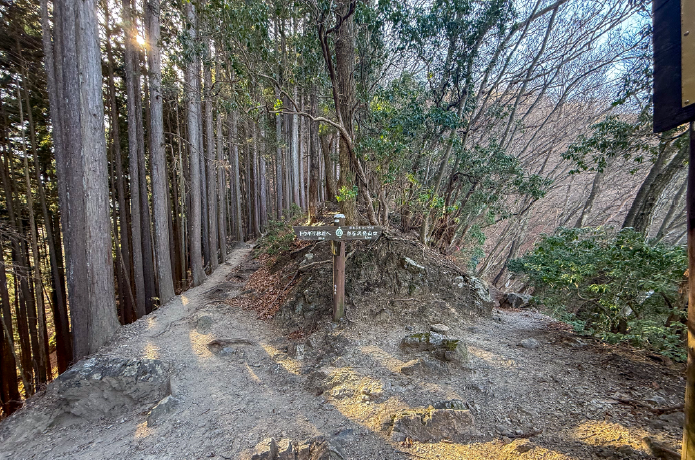 棒ノ折山ルート上の分岐