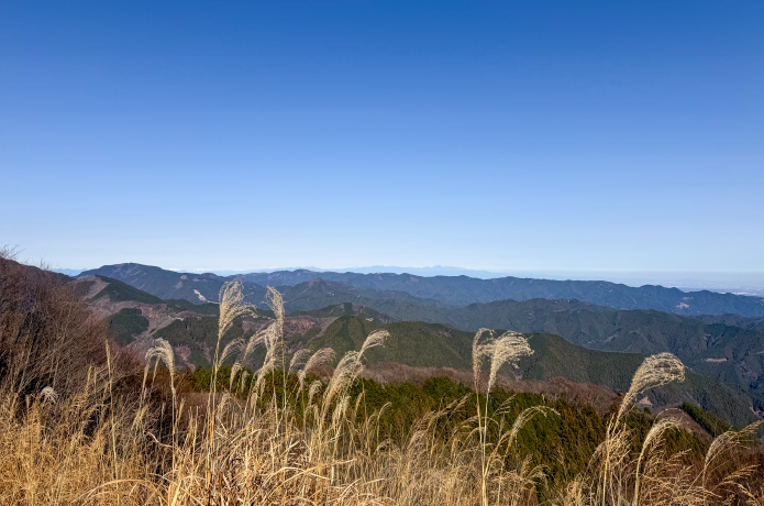 棒ノ折山山頂からの展望