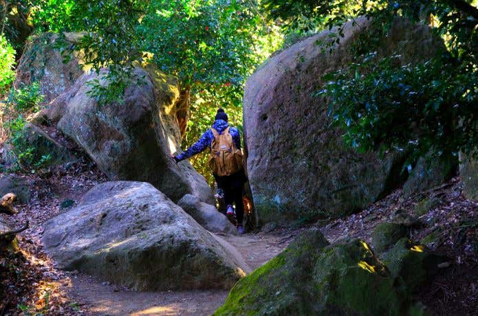 鷹取山を歩く人の後ろ姿