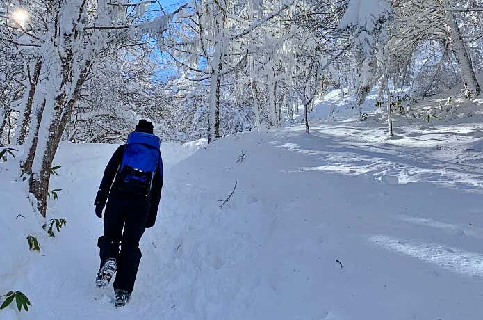 それぞれに適したシーンとは