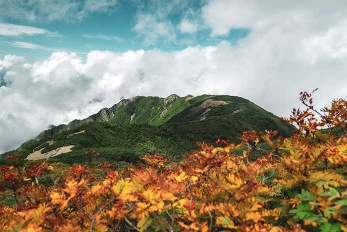 仙丈ヶ岳の紅葉