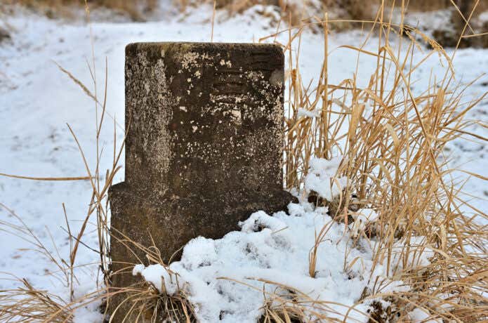 馬ノ背見晴台の三角点