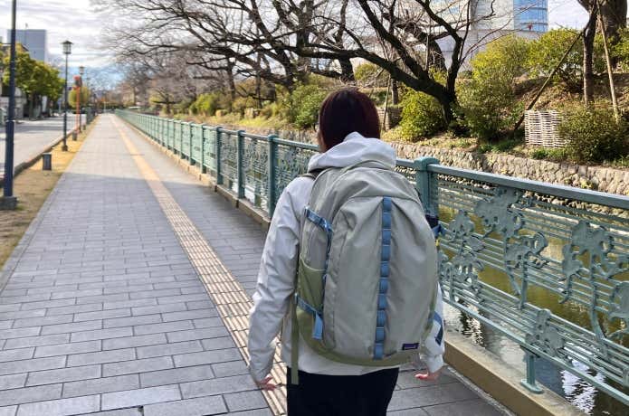 パタゴニア「レフュジオ・デイパック 32L」のデザイン