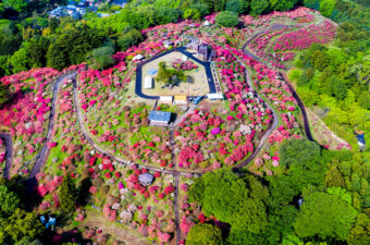 笠間市立つつじ公園（茨城県）