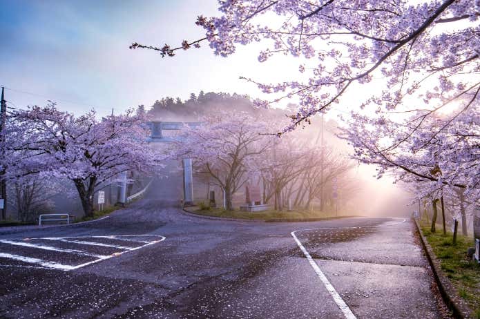 「あたご山桜まつり」開催期間中の山頂付近（※写真はイメージ）