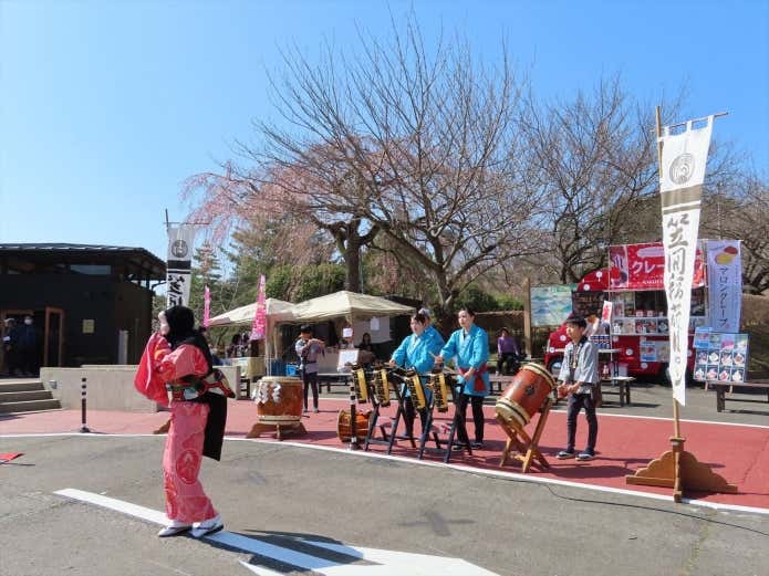 あたご山桜まつり