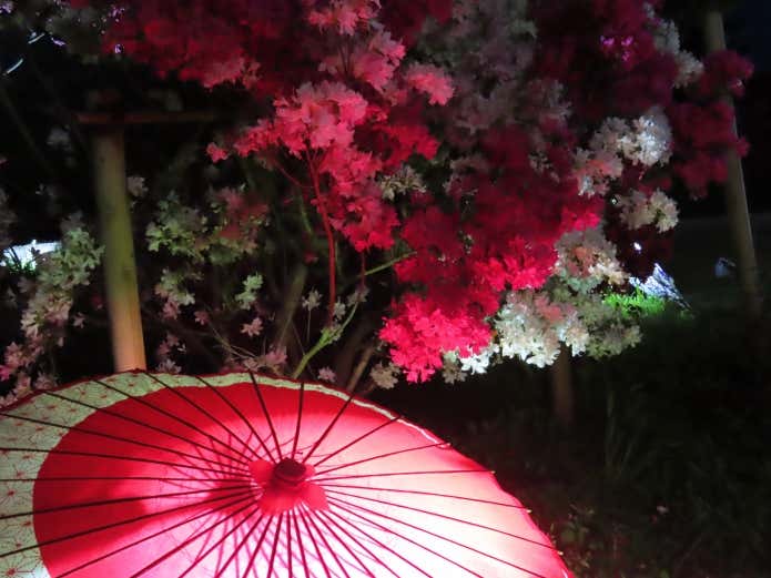 和傘と竹筒のイルミネーション