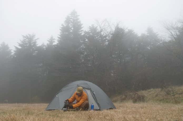 ゼインアーツ　ヤール