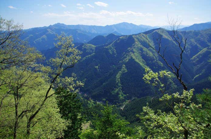 尾根道から見える大岳山や御前山