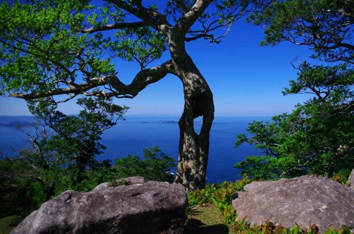 南三陸方面の景色