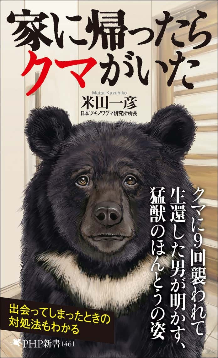 家に帰ったらクマがいた