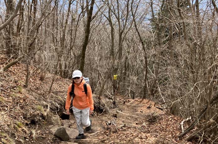 フーディニ・ジャケットを着て山を登る女性