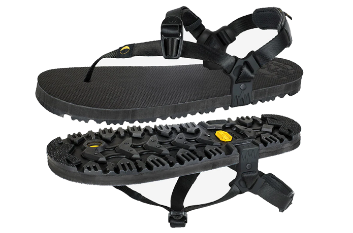 オソウィングドエディション