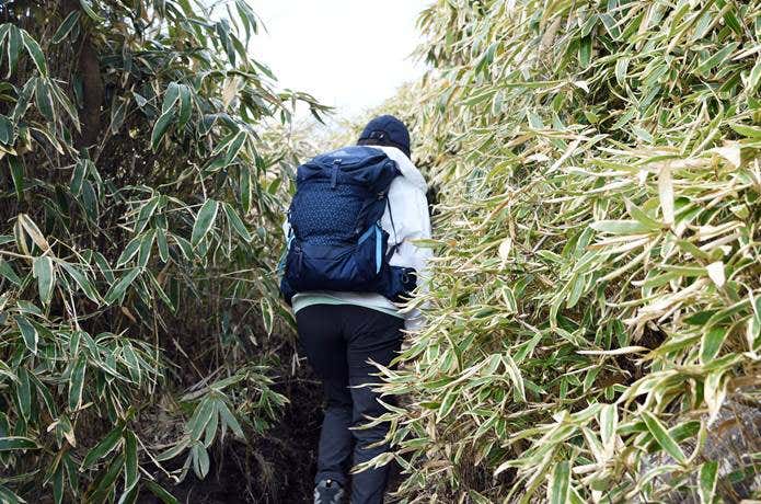 ユニクロ「ポケッタブルUVカットパーカ/NANODESIGN」を着て笹が茂る登山道を歩いているところ