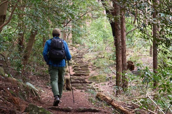 モンベル　カーボンフォールディングポール　フィールドテスト
