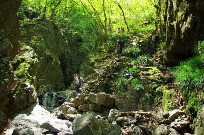 気持ちいい沢沿いを歩く白谷沢コース