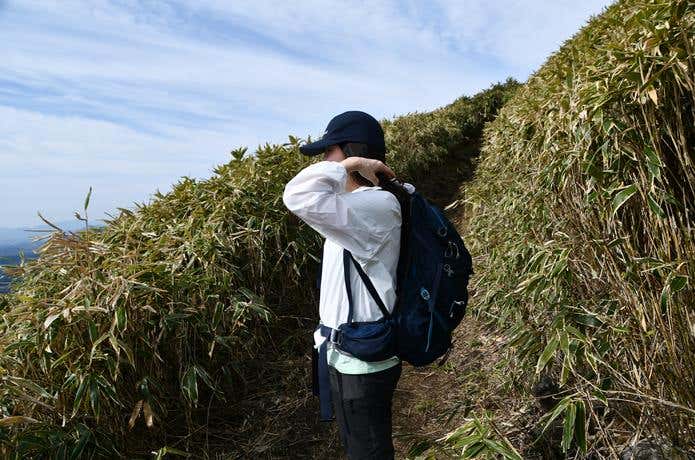 山道をバックにユニクロ「ポケッタブルUVカットパーカ/NANODESIGN」のフード部分に風を通しているところ