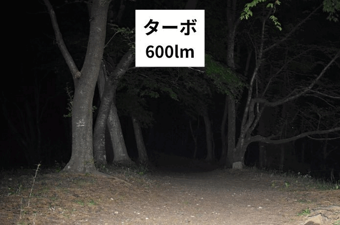 TINI3 登山道1