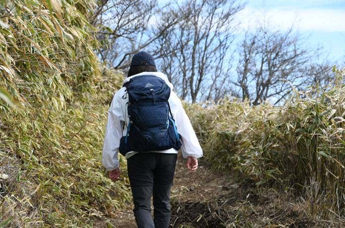 ユニクロ「ポケッタブルUVカットパーカ/NANODESIGN」を着て登山中の後ろ姿