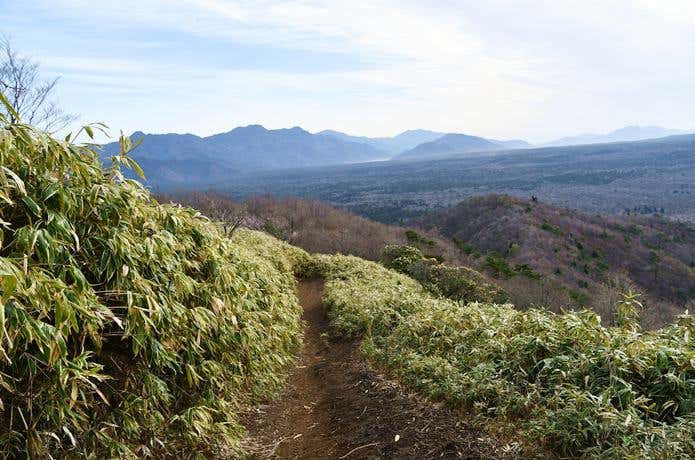 穏やかな天候の登山道