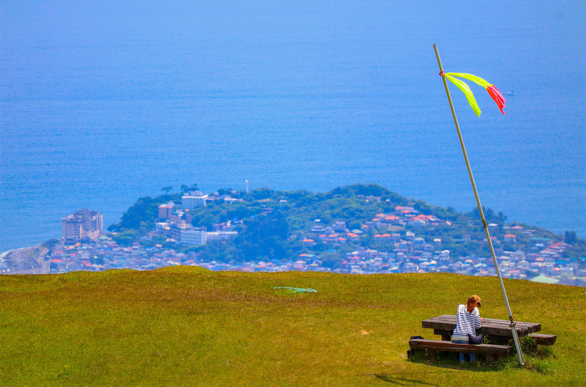 日帰りで行ける伊豆の絶景ハイキング「細野高原春の散策2026」