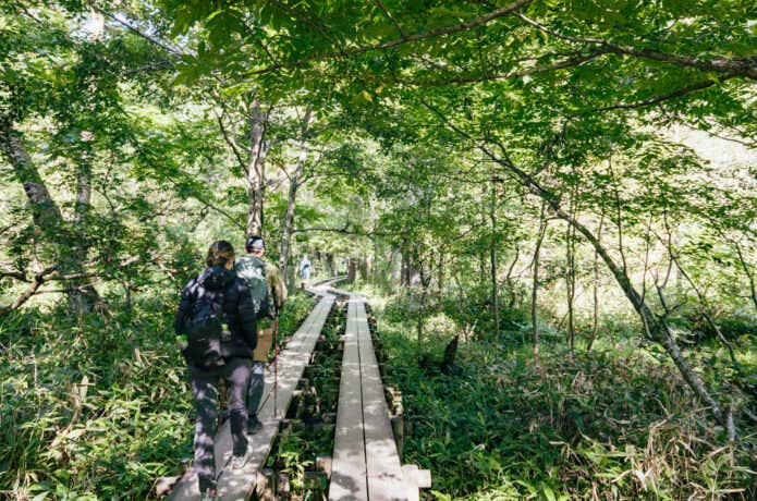 初夏の低山登山