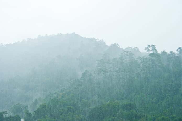 雨が降っている山