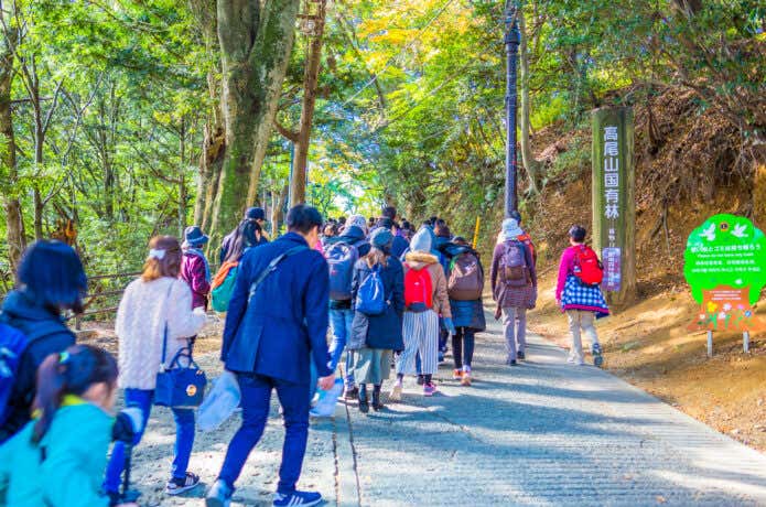 高尾山に登る人