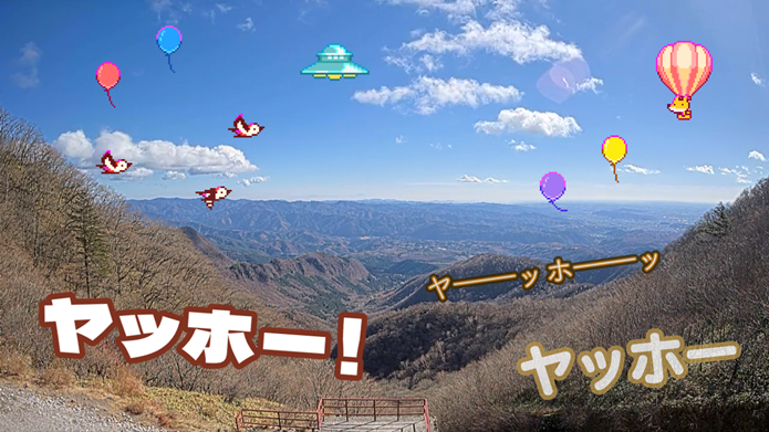 遊べるライブカメラ