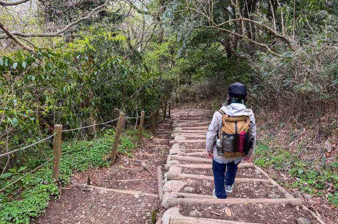 筑波山の下山コース