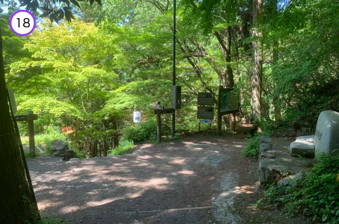 長尾平分岐
