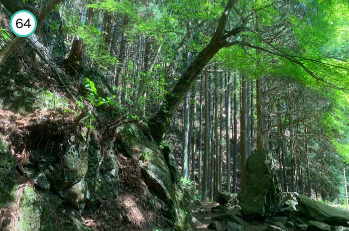 巨岩の下を進む